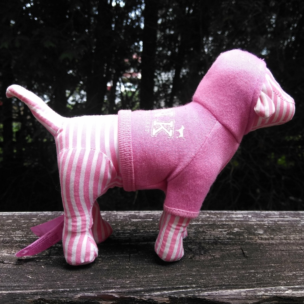 VS Pink Dog